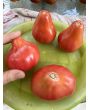 Tomato 'Pear Pink' Seeds (Certified Organic)