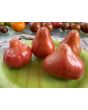 Tomato 'Pear Pink' Seeds (Certified Organic)