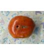 Tomato 'Beefmaster F2' Seeds (Certified Organic)