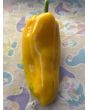 Sweet Pepper 'Yellow Bull's Horn' AKA 'Corno di Toro Giallo' Pepper Seeds