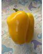 Bell Pepper 'Golden California Wonder' Seeds (Certified Organic) 