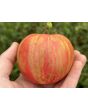Tomato 'Pink Furry Boar' Seeds (Certified Organic)