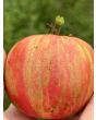 Tomato 'Pink Furry Boar' Seeds (Certified Organic)