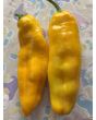 Pepper 'Super Sweet Giant Yellow' Seeds (Certified Organic)