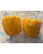 Bell Pepper 'Golden California Wonder' Seeds (Certified Organic) 