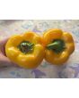 Bell Pepper 'Golden California Wonder' Seeds (Certified Organic) 