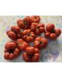 Tomato 'Ceylon' Seeds (Certified Organic)