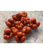 Tomato 'Ceylon' Seeds (Certified Organic)