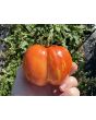 Tomato 'Striped Cavern' Seeds (Certified Organic)