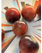 Tomato 'Black Strawberry' Seeds (Certified Organic)