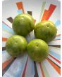 Tomato 'Green Vernissage' Seeds (Certified Organic) 