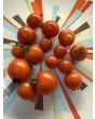 Tomato 'Sakura F2' Seeds (Certified Organic)