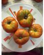 Tomato 'German Johnson' Seeds (Certified Organic)