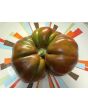 Tomato 'Pierce's Pride' Seeds (Certified Organic)