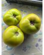 Tomato 'Winter Heart' Seeds (Certified Organic)