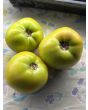 Tomato 'Winter Heart' Seeds (Certified Organic)