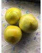 Tomato 'Winter Heart' Seeds (Certified Organic)