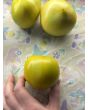 Tomato 'Winter Heart' Seeds (Certified Organic)