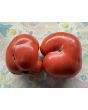 Dwarf Tomato 'Strawberry Lemonade' Seeds (Certified Organic)