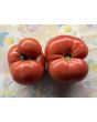 Dwarf Tomato 'Strawberry Lemonade' Seeds (Certified Organic)
