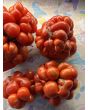Tomato 'Reisetomate' Seeds (Certified Organic) 