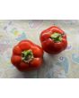 Sweet Pepper 'Pritamin Paprika' Seeds (Certified Organic)