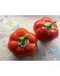 Sweet Pepper 'Pritamin Paprika' Seeds (Certified Organic)