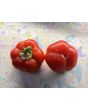 Sweet Pepper 'Pritamin Paprika' Seeds (Certified Organic)