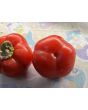 Sweet Pepper 'Pritamin Paprika' Seeds (Certified Organic)