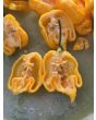 Hot Pepper 'Yellow Carolina Reaper' AKA ‘Reaper Moruga Yellow' Seeds (Certified Organic)