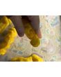 Hot Pepper ‘Yellow Peter’ Seeds (Certified Organic)