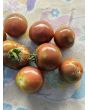 Tomato 'Striped Ping Pong' Seeds (Certified Organic)