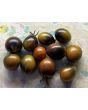 Tomato 'Blue Keyes' Seeds (Certified Organic)