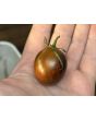 Tomato 'Blue Keyes' Seeds (Certified Organic)