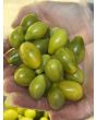 Tomato 'Green Pear' Seeds (Certified Organic)