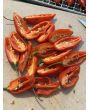 Hot Pepper 'Hot Paper Lantern' Seeds (Certified Organic)