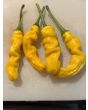 Hot Pepper ‘Yellow Peter’ Seeds (Certified Organic)