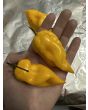 Hot Pepper 'Aji Lemon x Reaper' Seeds (Certified Organic)