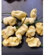 Hot Pepper 'White Ghostly Jalapeno' Seeds (Certified Organic)