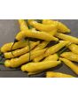 Hot Pepper 'Aji Lemon Drop' Seeds (Certified Organic)