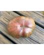 Tomato 'Chloe' Seeds