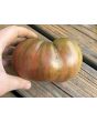 Tomato 'Chloe' Seeds