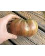 Tomato 'Chloe' Seeds