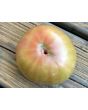 Tomato 'Sara Black' Seeds (Certified Organic)