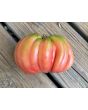Tomato 'Tamara's San Marzano Pink Ruffled Strain' Seeds (Certified Organic)