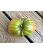 Tomato 'Tamara's San Marzano Pink Ruffled Strain' Seeds (Certified Organic)