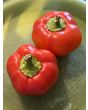 Sweet Pepper 'Pritamin Paprika' Seeds