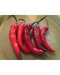 Sweet Pepper 'Murasaki Purple' Seeds