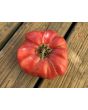 Tomato 'Bear Claw' Seeds (Certified Organic)