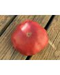 Tomato 'Bear Claw' Seeds (Certified Organic)
